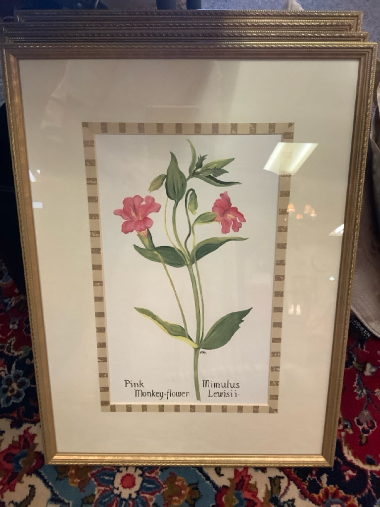 Set 4 Botanical Prints STORE PICKUP
