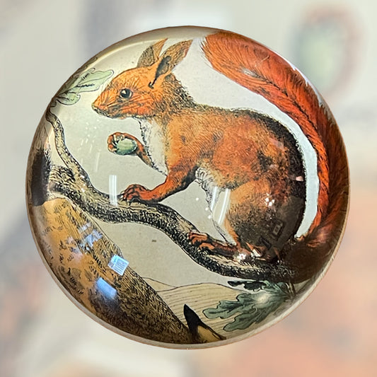 Glass Squirrel Paperweight